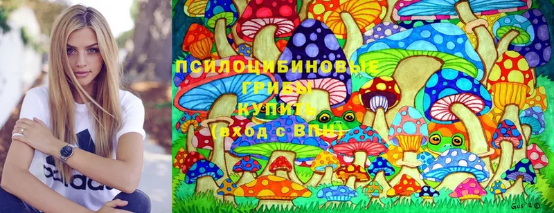 где можно купить наркотик  гидра ССЫЛКА  Псилоцибиновые грибы MAGIC MUSHROOMS  Белая Калитва 